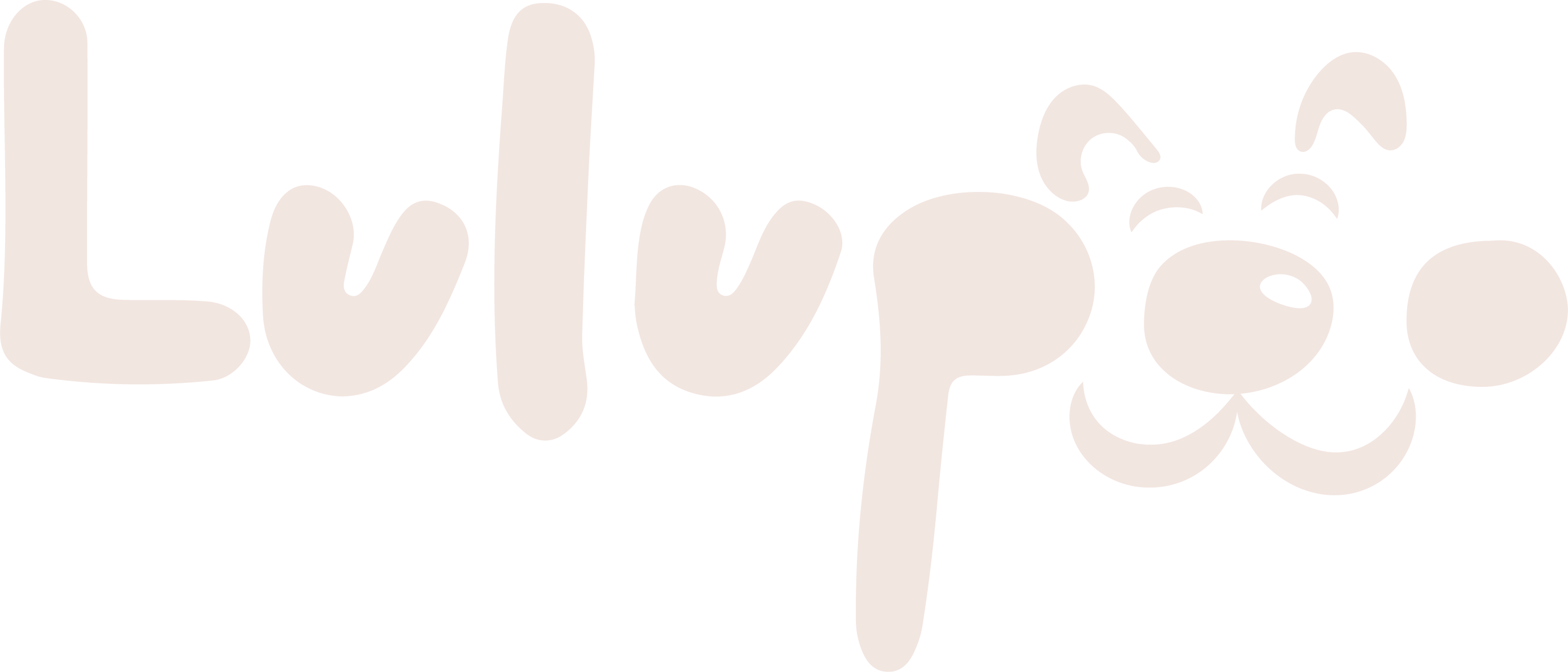 My Store